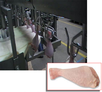 https://www.poultryprocessingequipment.com/cut_up_and_portioning_systems/images/auto_carousel/thigh_drumstick_cutter.png