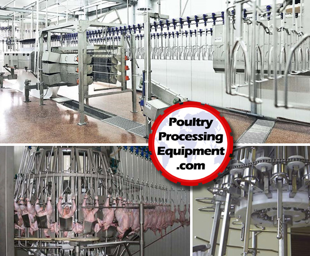 Poultry Processing Equipment Systems And Factory Development